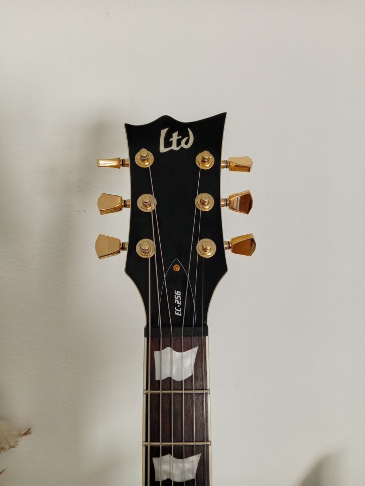 ESP LTD EC-256 de segunda mano · Foto 5 de 9 · Madrid · 400 €
