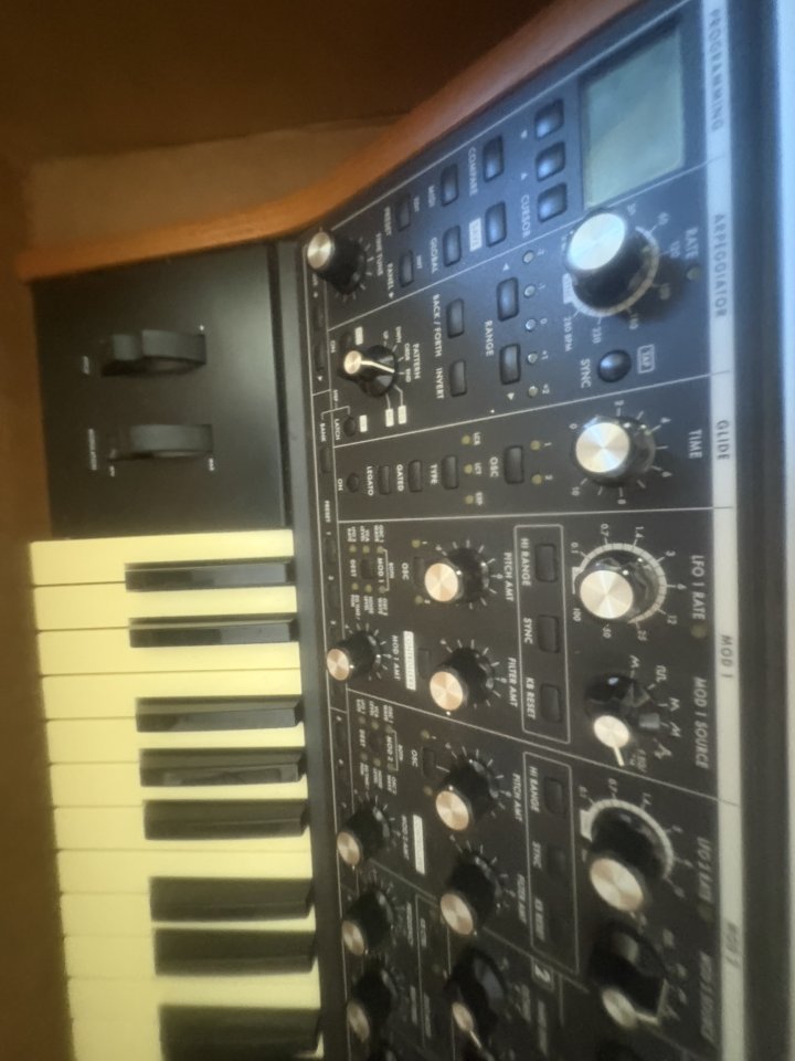 Vendo mini moog de segunda mano · Foto 3 de 3 · Alicante · 1000 €
