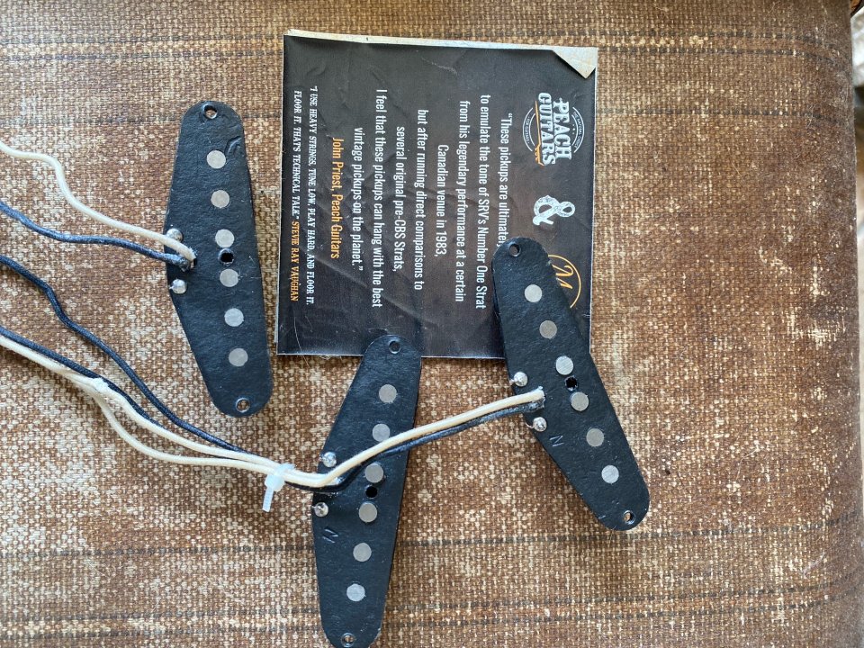 Mark Foley Number One SRV