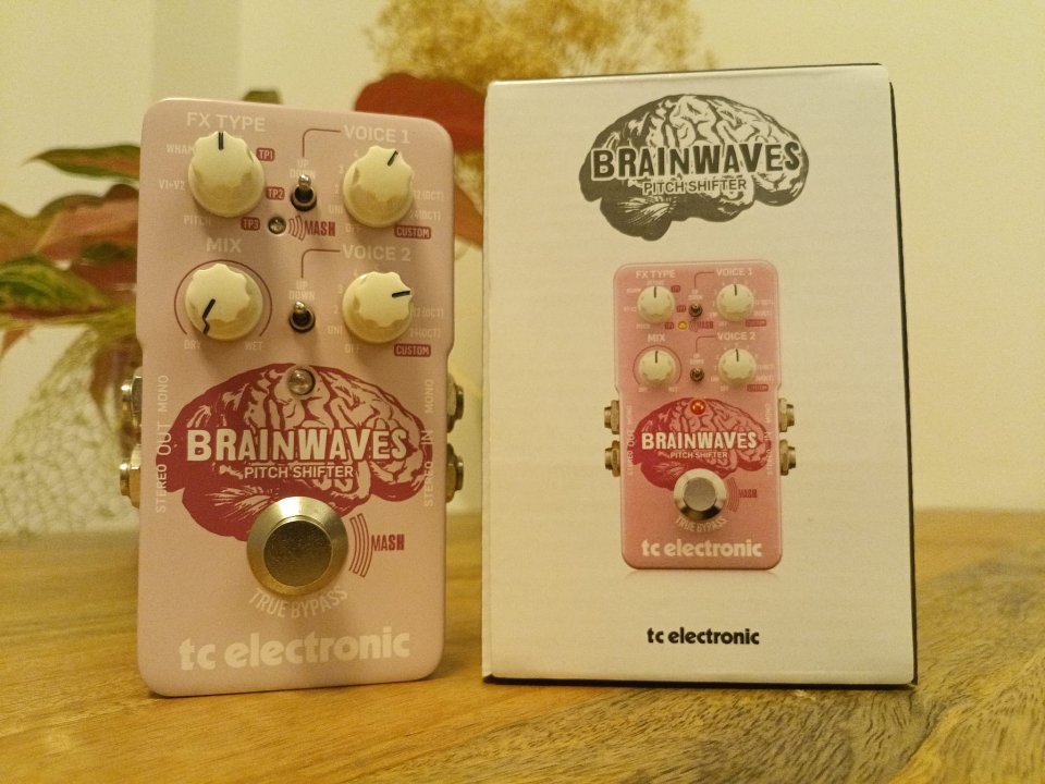 tc electronic Brainwaves Pitch Shifter