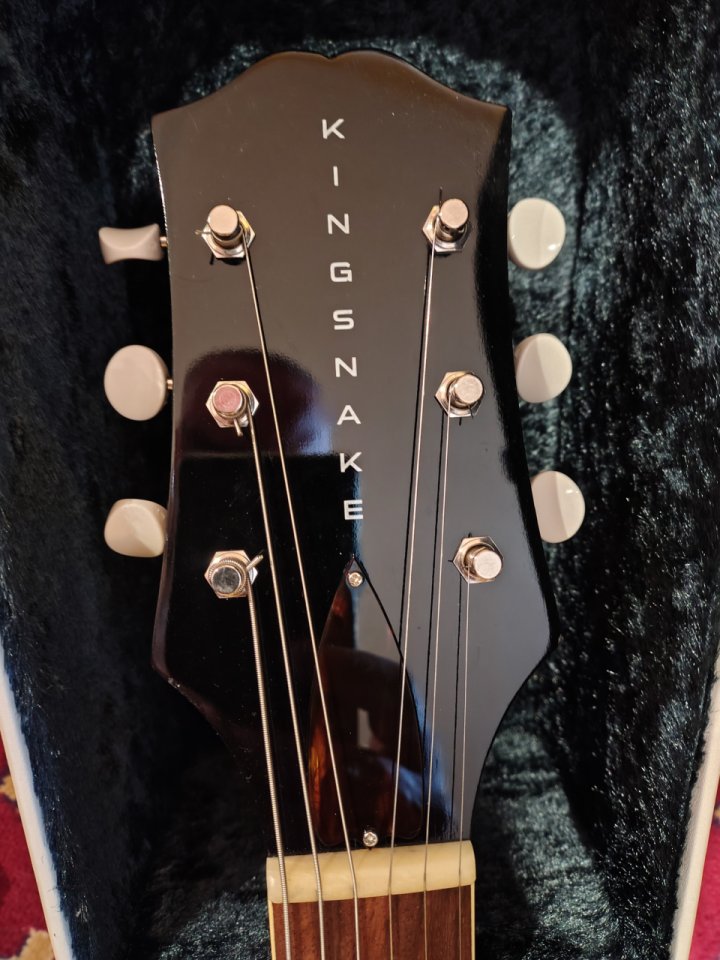 King Snake Muddy Deep Body de segunda mano · Foto 3 de 10 · Granada · 1700 €