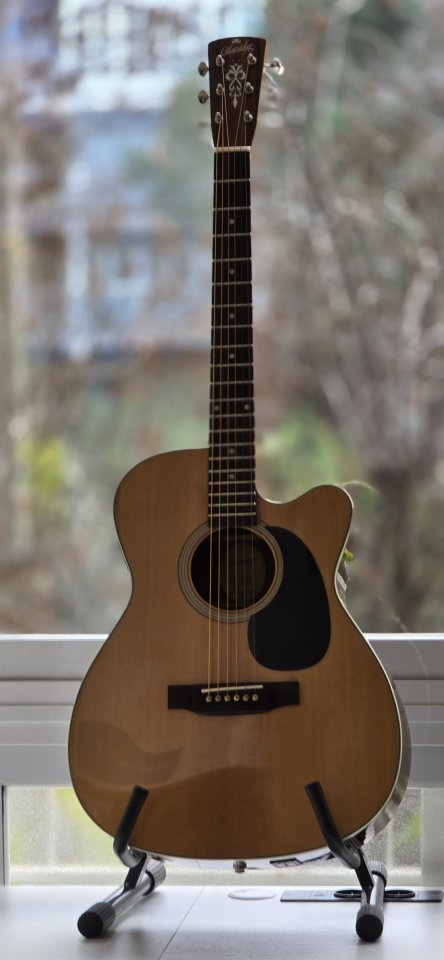 Blueridge  Electroacústica