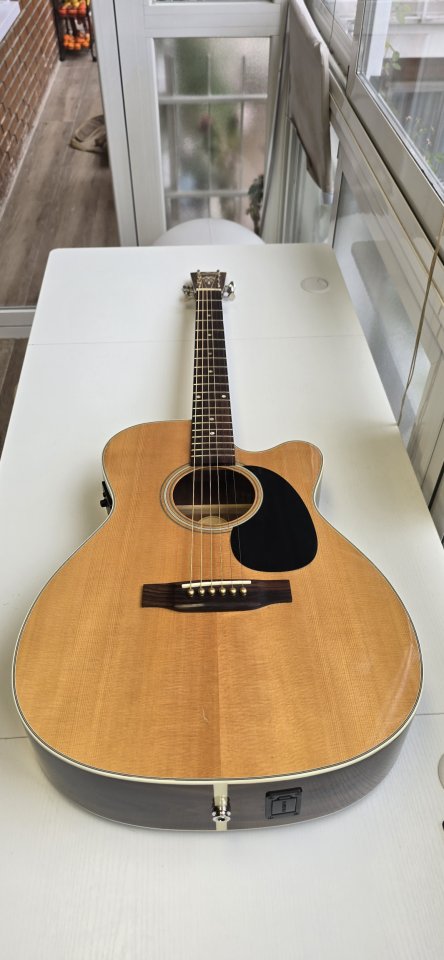 Blueridge  Electroacústica