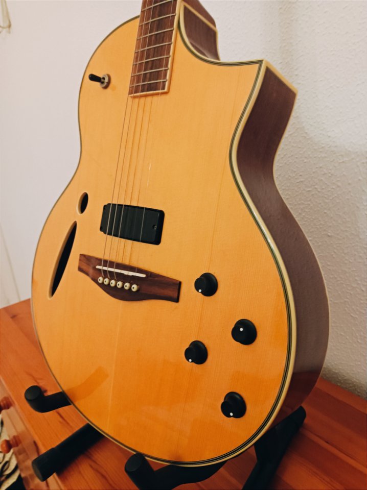 Ibanez Montage MSC 350 MT