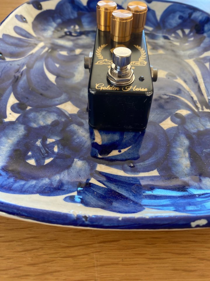 Klon Golden Horse n10 de segunda mano · Foto 5 de 7 · Barcelona · 250 €