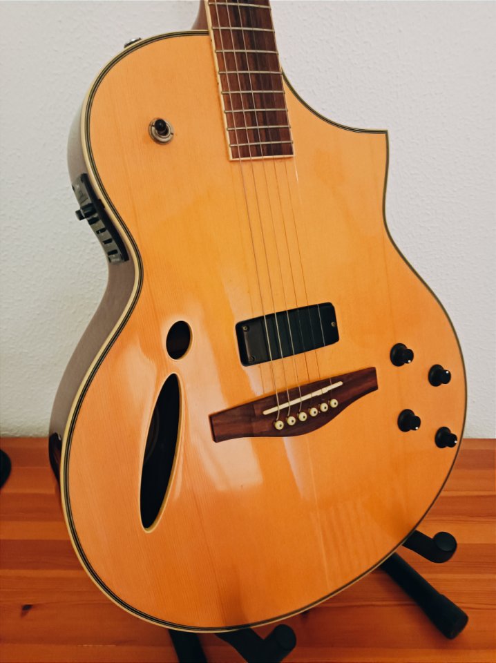 Ibanez Montage MSC 350 MT