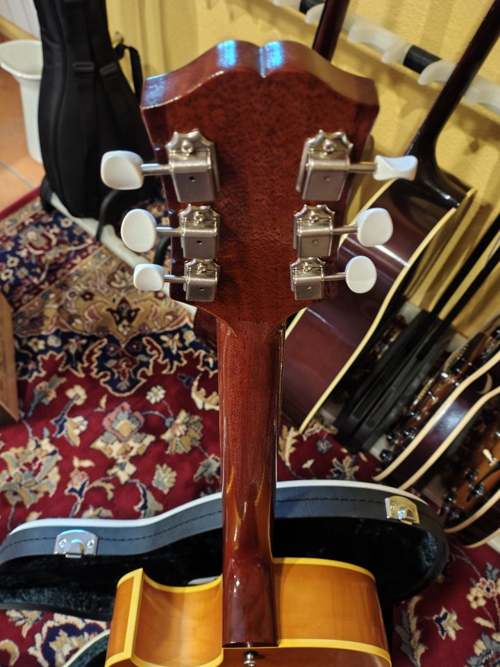 King Snake Muddy Deep Body de segunda mano · Foto 7 de 10 · Granada · 1700 €