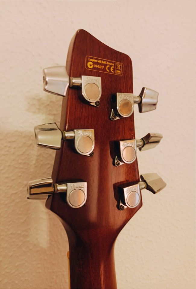 Ibanez Montage MSC 350 MT