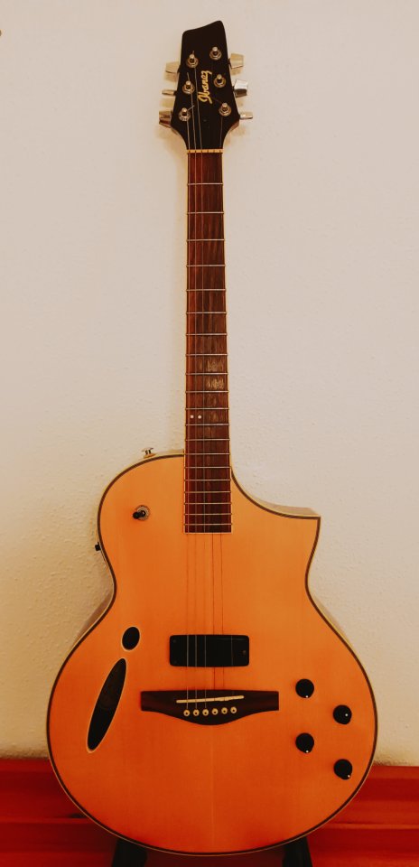 Ibanez Montage MSC 350 MT