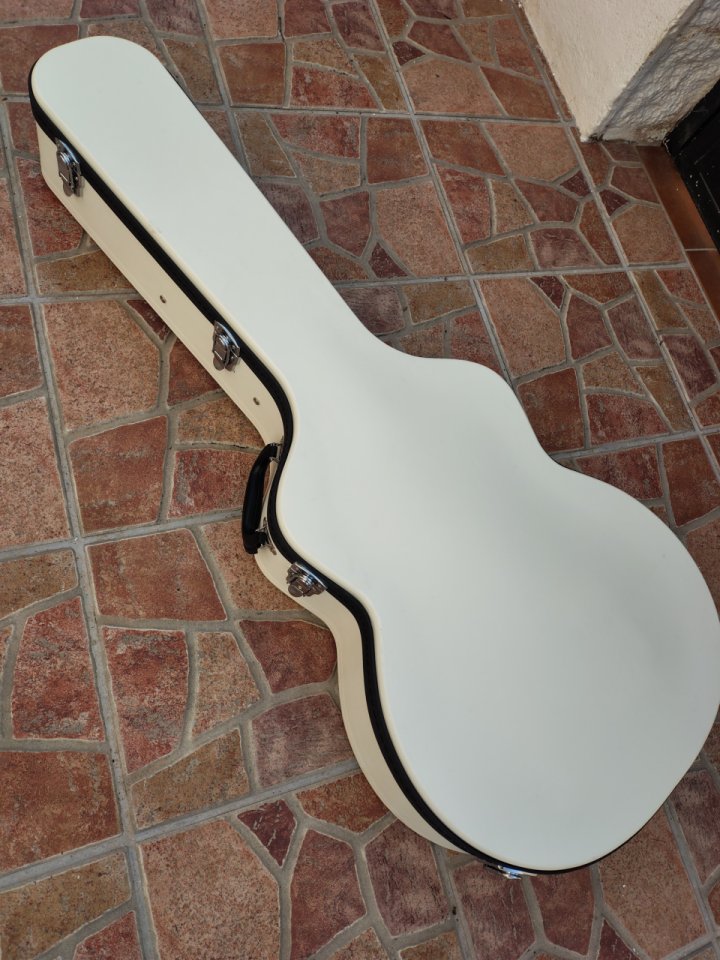 King Snake Muddy Deep Body de segunda mano · Foto 10 de 10 · Granada · 1700 €