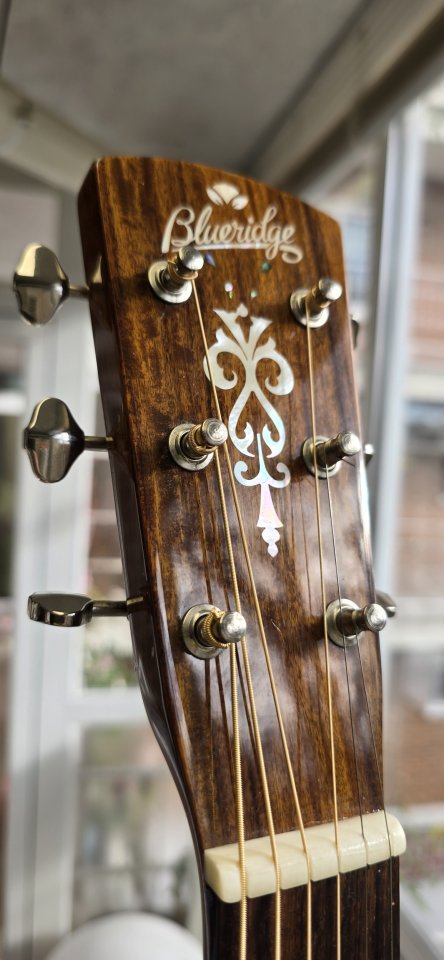 Blueridge  Electroacústica