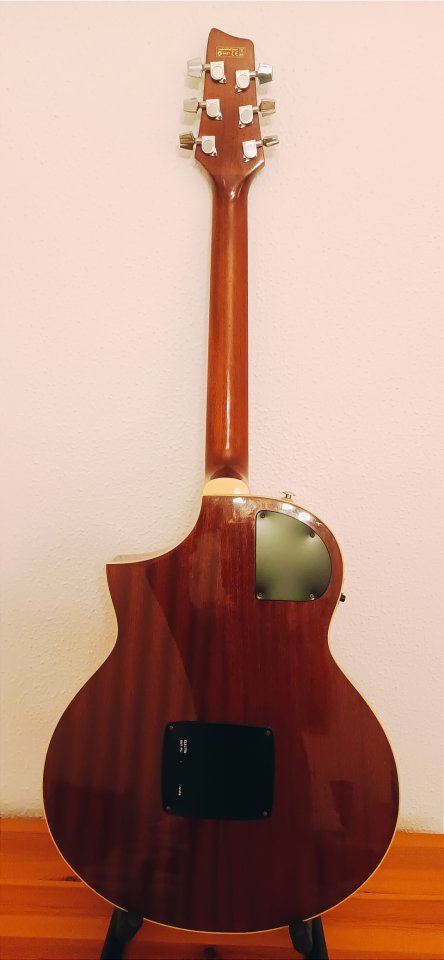 Ibanez Montage MSC 350 MT