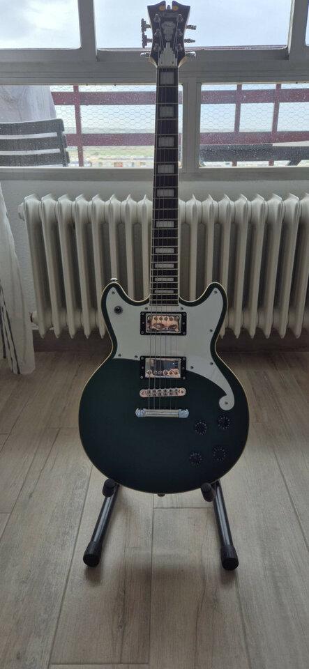 D' Angelico Premier Brighton