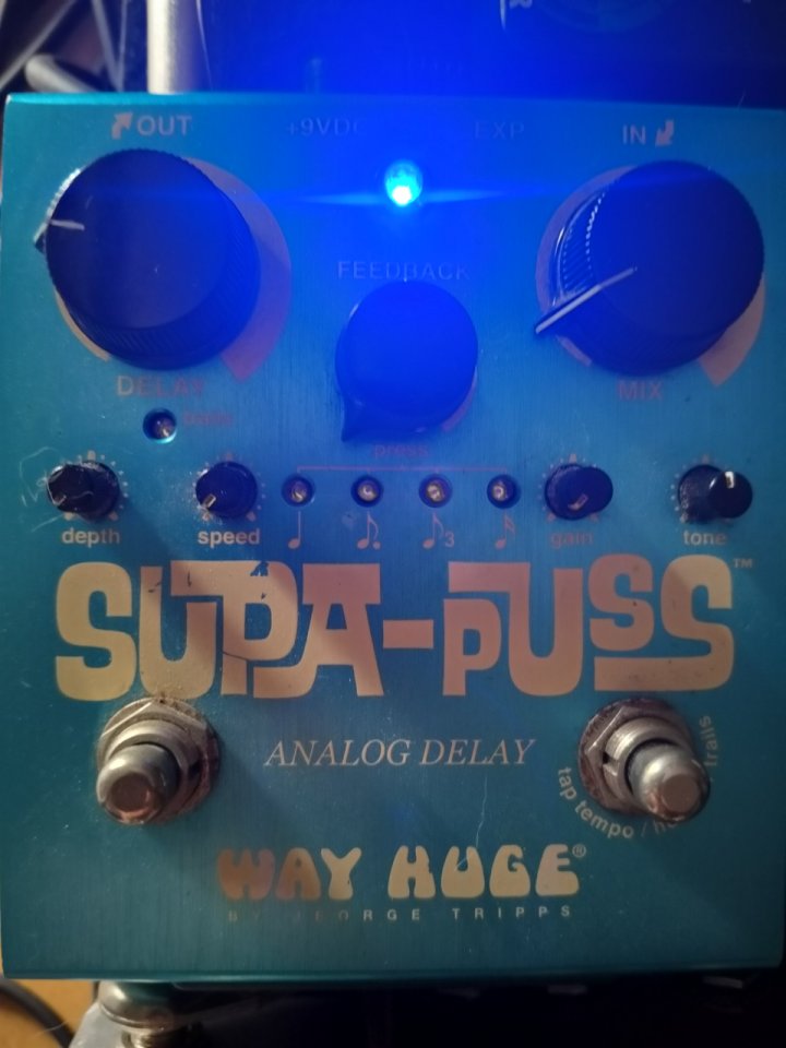Way Huge SUPA-PUSS Analog Delay de segunda mano · Foto 1 de 2 · Huelva · 260 €