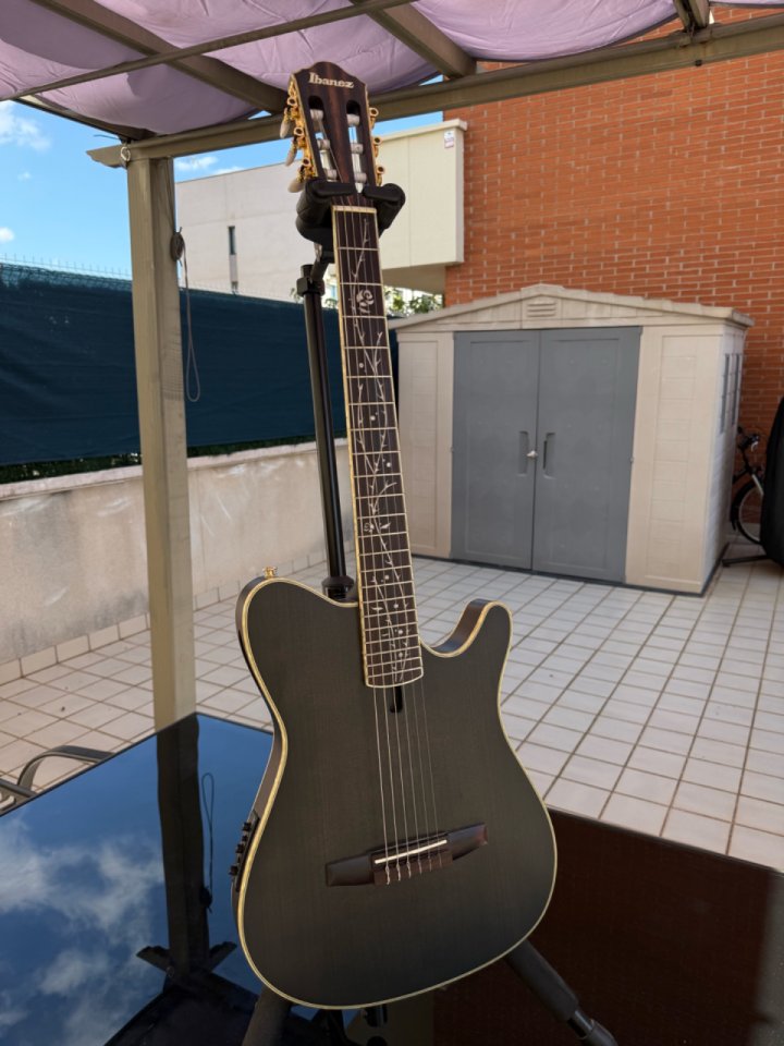 Ibanez TOD10N de segunda mano · Foto 1 de 7 · Barcelona · 520 €