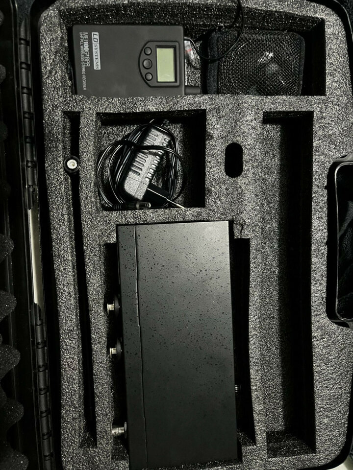 LD Systems MEI 100 G2