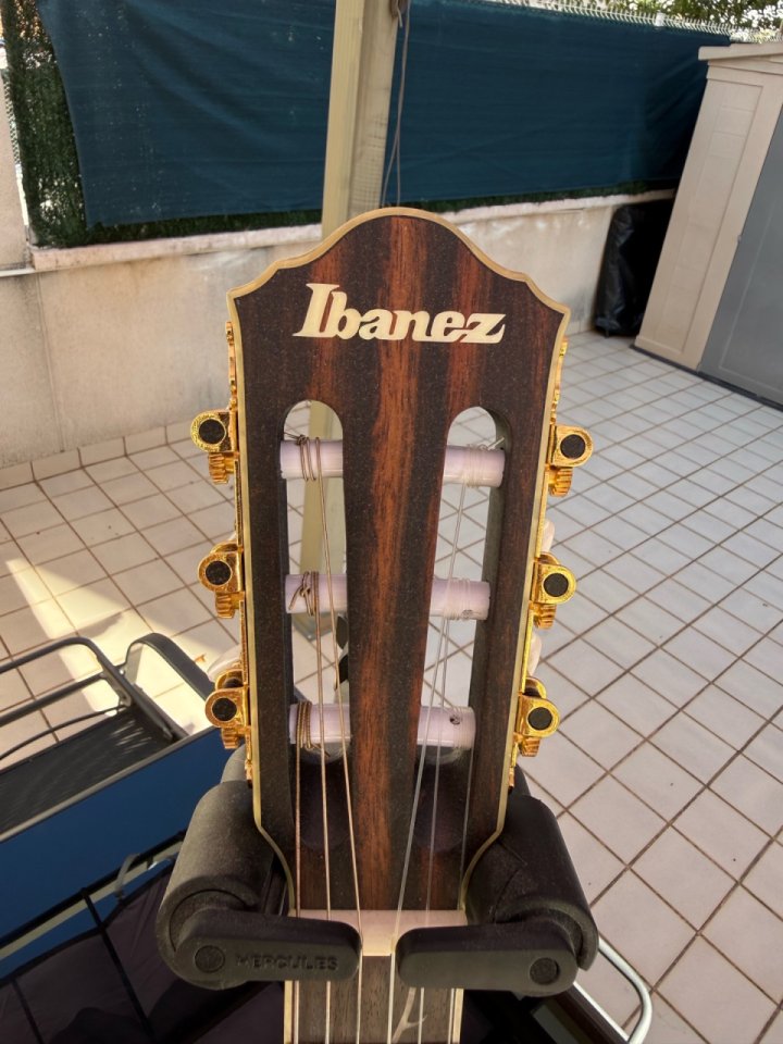 Ibanez TOD10N de segunda mano · Foto 6 de 7 · Barcelona · 520 €