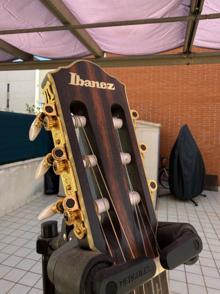 Ibanez TOD10N de segunda mano · Foto 7 de 7 · Barcelona · 520 €