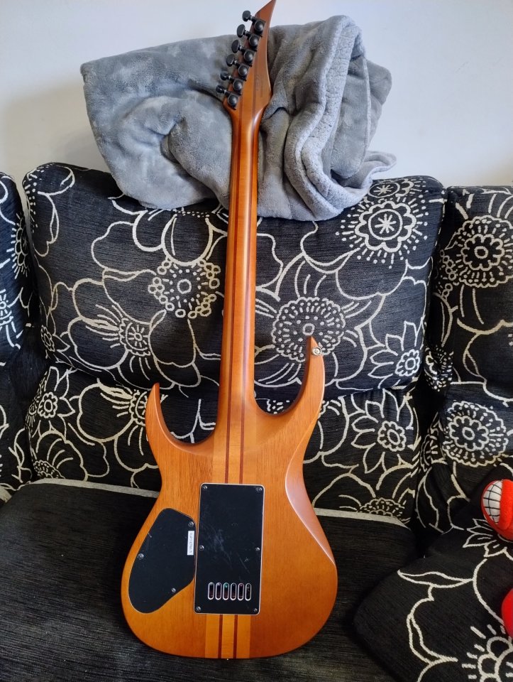 Solar S1.6PB - Poplar Burst Matte de segunda mano · Foto 4 de 7 · Bizkaia · 1050 €