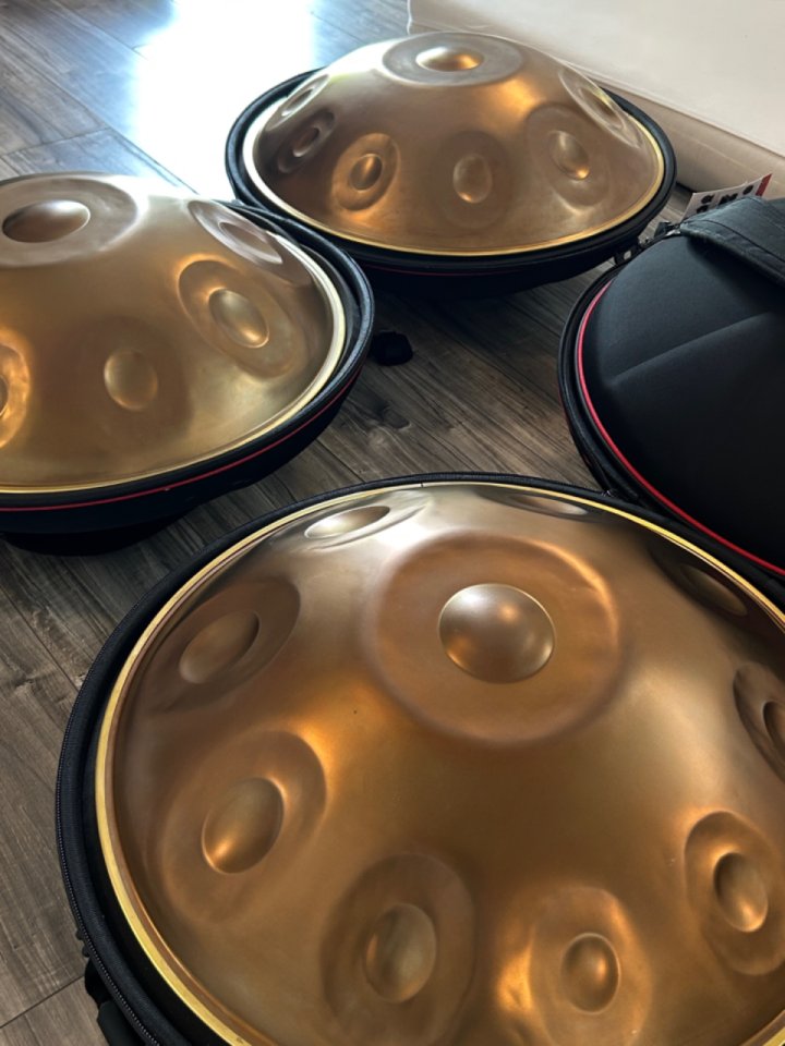 Nuevo Handpan D Kurd 10 notas
