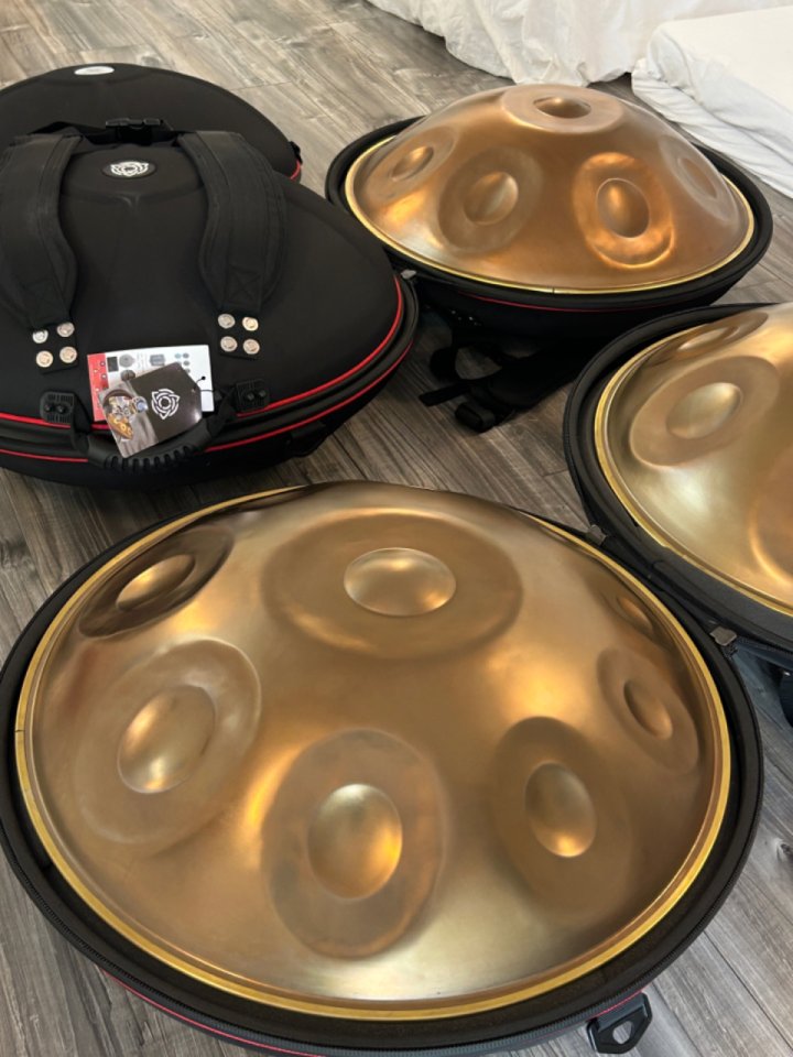 Nuevo Handpan D Kurd 10 notas