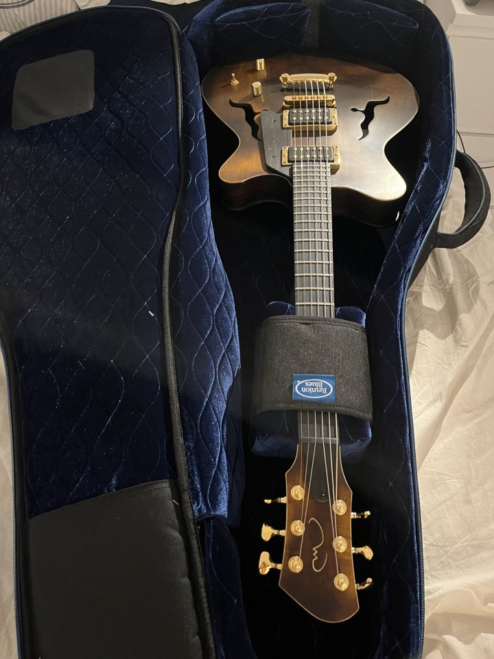 Reunion Blues Continental Voyager Acoustic Guitar Case de segunda mano · Foto 3 de 8 · Barcelona · 200 €
