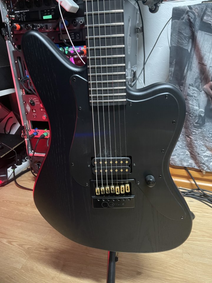 Vendo ESP/LTD AW-XJ7B ET (Alex Whitechapel) 7 cuerdas