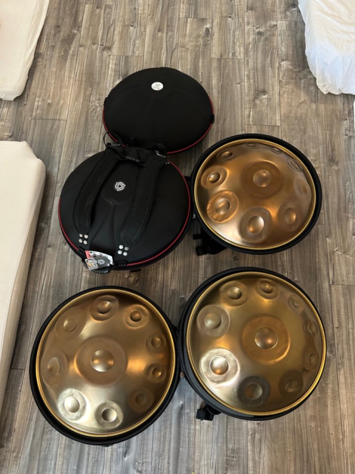 Nuevo Handpan D Kurd 10 notas