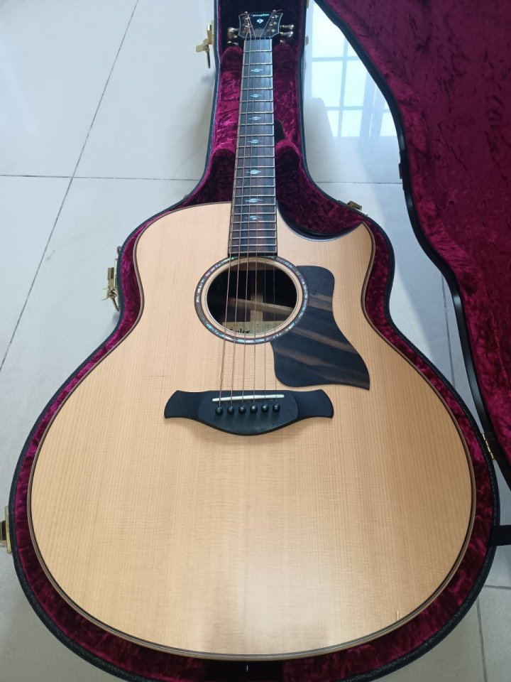 Taylor 816ce Builders Edition