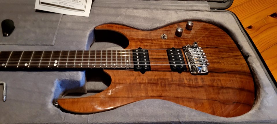 Ibanez MSM-1 Premium (Marco Sfogli)