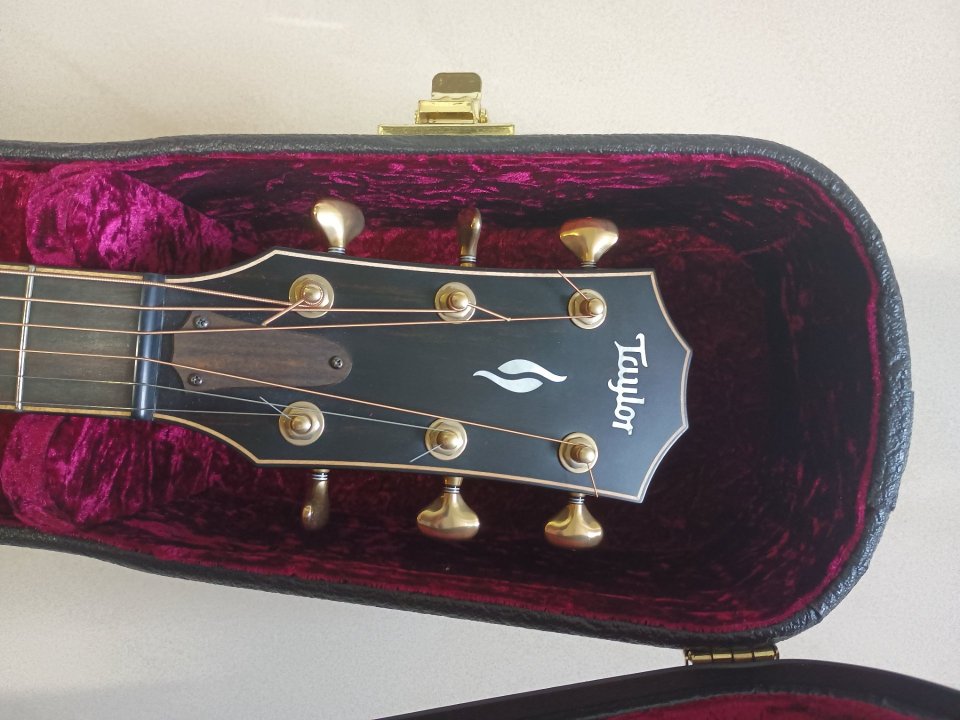 Taylor 816ce Builders Edition