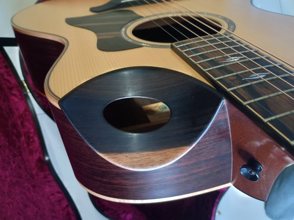 Taylor 816ce Builders Edition