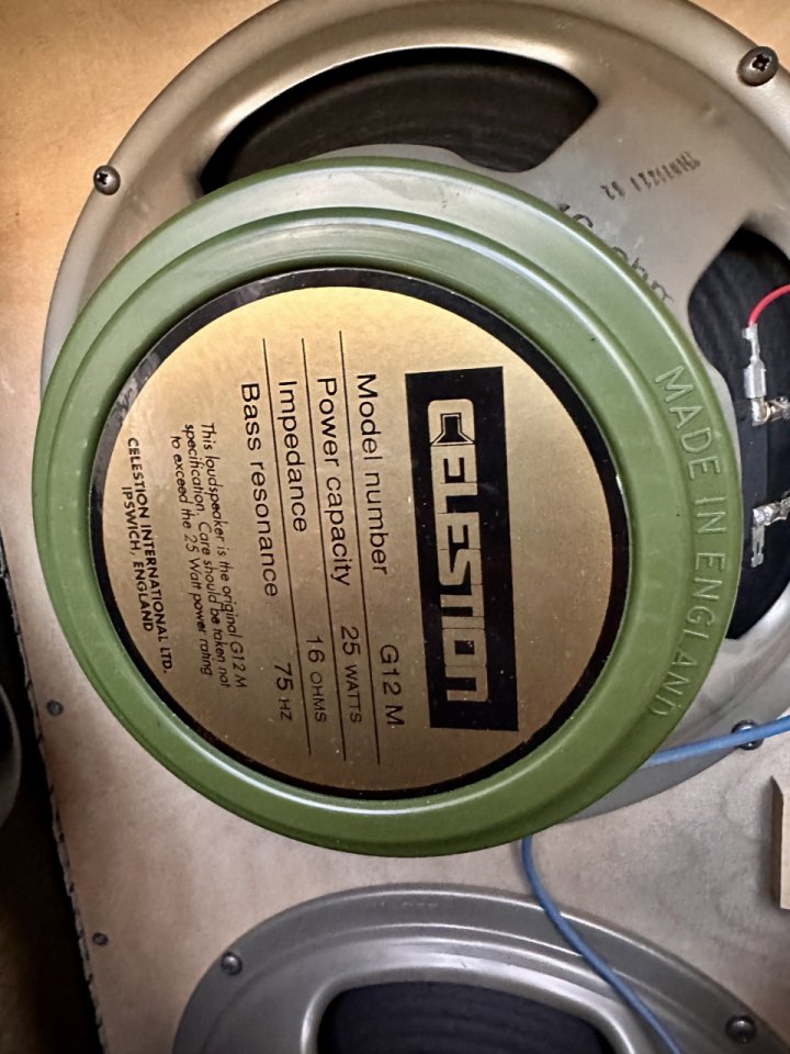 Marshall 4x12 1960BX Greenbacks