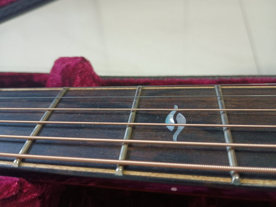 Taylor 816ce Builders Edition