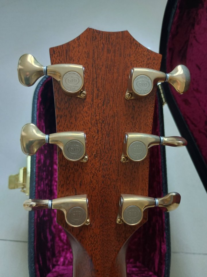 Taylor 816ce Builders Edition