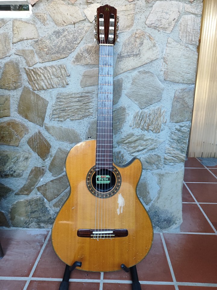 Morris Groovin PA-17G + Colección + Reparar de segunda mano · Foto 1 de 10 · Málaga · 700 €