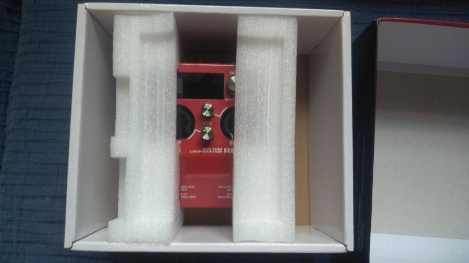 BOSS RC-10R Looper, Caja Ritmos, etc de segunda mano · Foto 3 de 7 · Valencia · 150 €