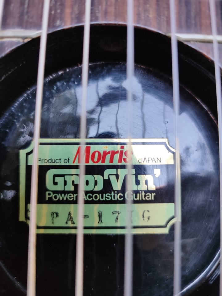 Morris Groovin PA-17G + Colección + Reparar de segunda mano · Foto 2 de 10 · Málaga · 700 €