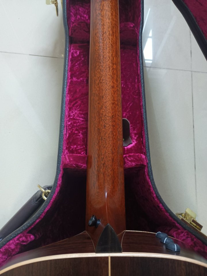 Taylor 816ce Builders Edition