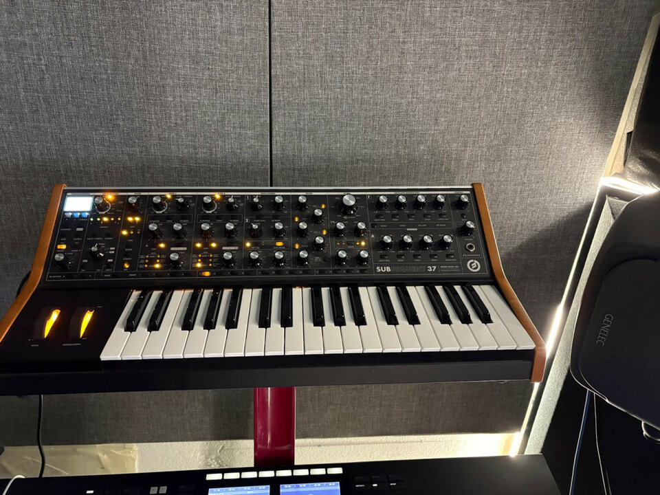 Moog Subsequent 37