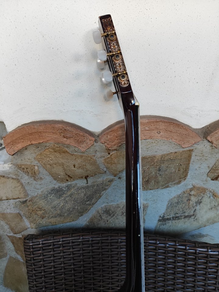 Morris Groovin PA-17G + Colección + Reparar de segunda mano · Foto 5 de 10 · Málaga · 700 €