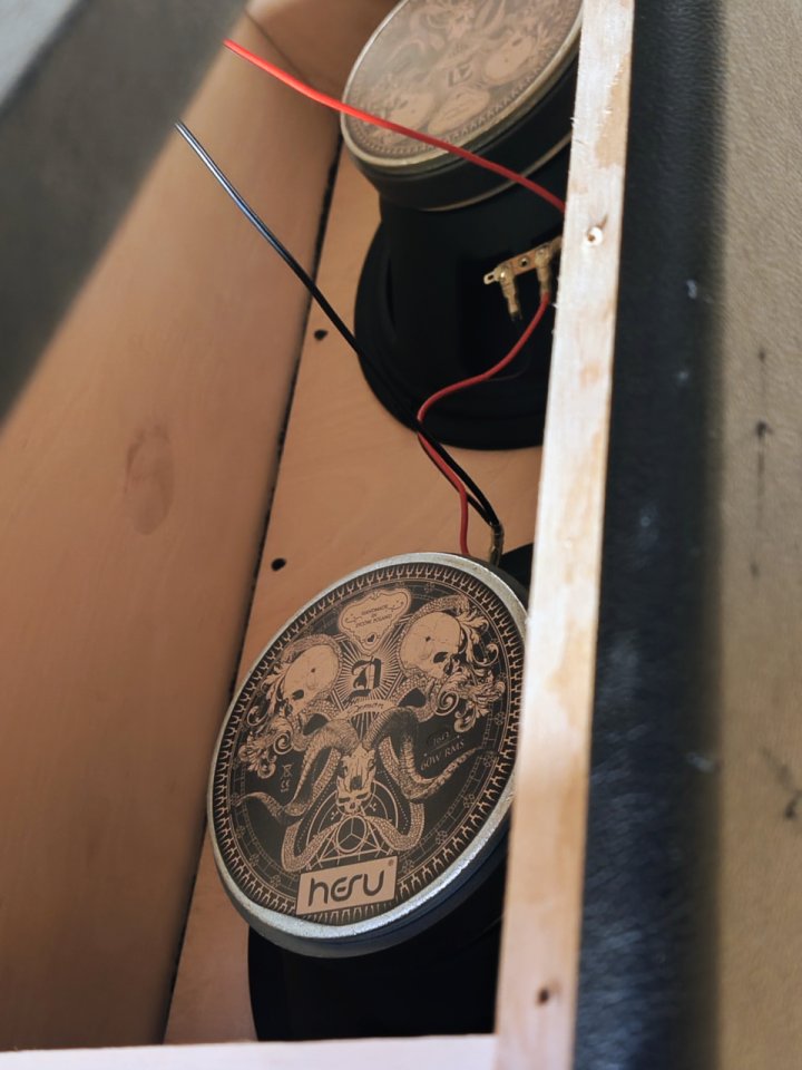 Vendo Hesu 2x12 sonido increíble