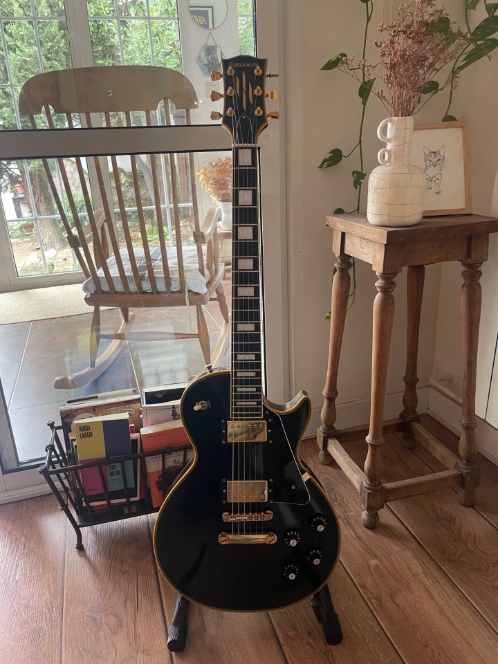 Edwards e-lp-113ltc