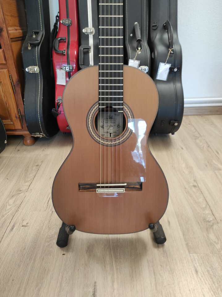 Guitarra clásica de concierto