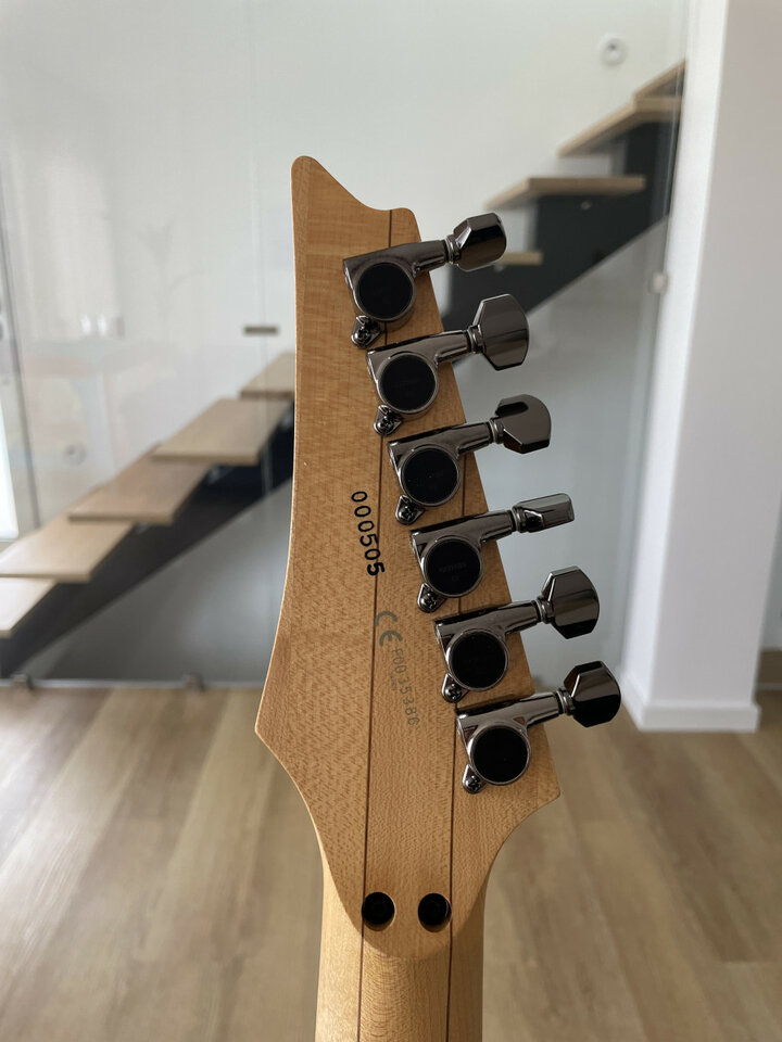 Guitarra por partes con mástil Ibanez RG 1880 J Custom, Purple Doom, 2000