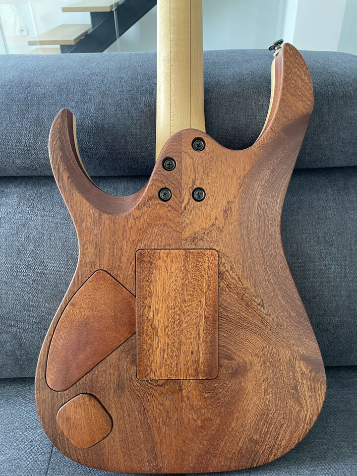 Guitarra por partes con mástil Ibanez RG 1880 J Custom, Purple Doom, 2000