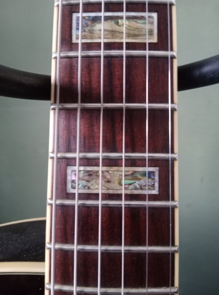 Ibanez AK95 de segunda mano · Foto 7 de 8 · Salamanca · 425 €