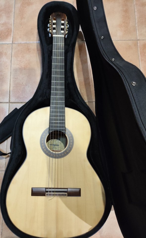 Guitarra Hermanos Bros G10 especial