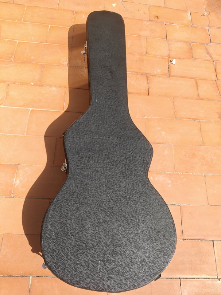 PRS SE Hollowbody Charcoal Burst + Estuche de segunda mano · Foto 9 de 9 · Alicante · 740 €