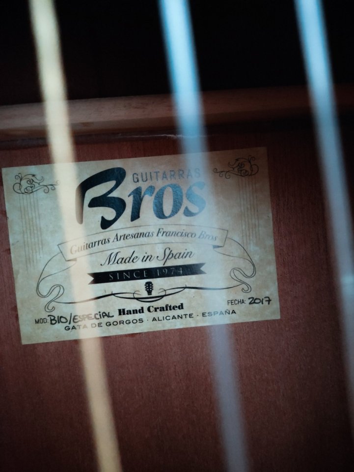 Guitarra Hermanos Bros G10 especial